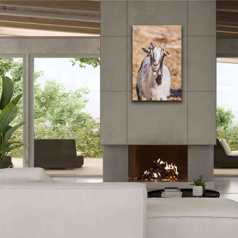 Image of 'Short Beard' by Donnie Quillen Canvas Wall Art,26 x 40