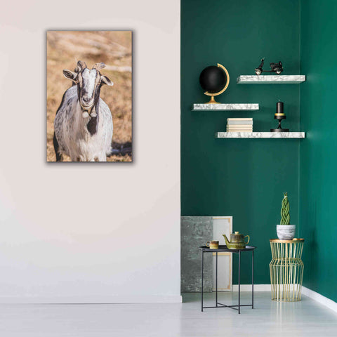 Image of 'Short Beard' by Donnie Quillen Canvas Wall Art,26 x 40