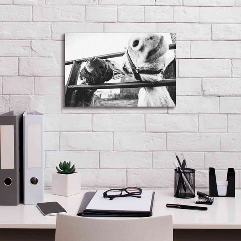 Image of 'Feeding Donkeys' by Donnie Quillen Canvas Wall Art,18 x 12