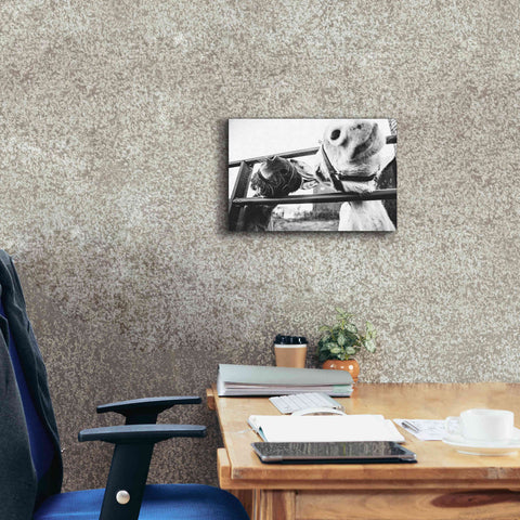 Image of 'Feeding Donkeys' by Donnie Quillen Canvas Wall Art,18 x 12