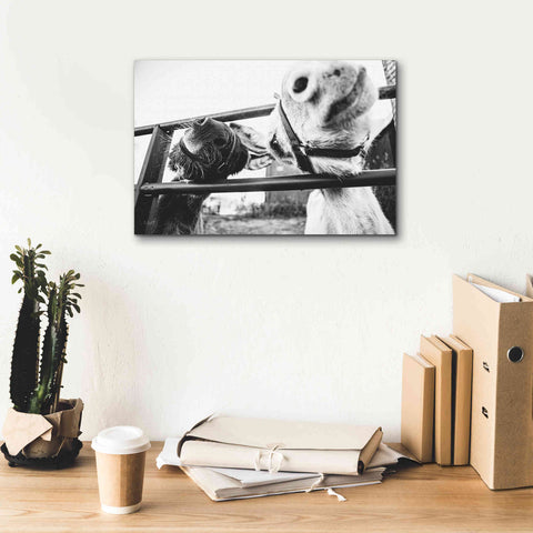 Image of 'Feeding Donkeys' by Donnie Quillen Canvas Wall Art,18 x 12