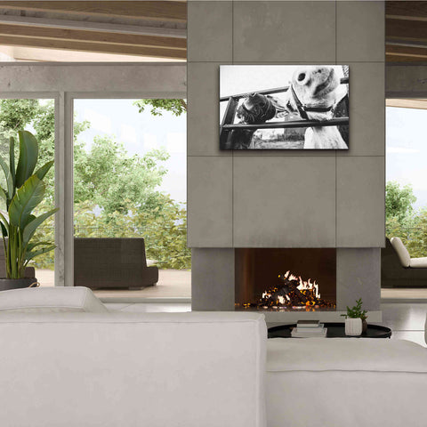 Image of 'Feeding Donkeys' by Donnie Quillen Canvas Wall Art,40 x 26