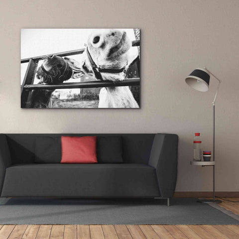 Image of 'Feeding Donkeys' by Donnie Quillen Canvas Wall Art,60 x 40