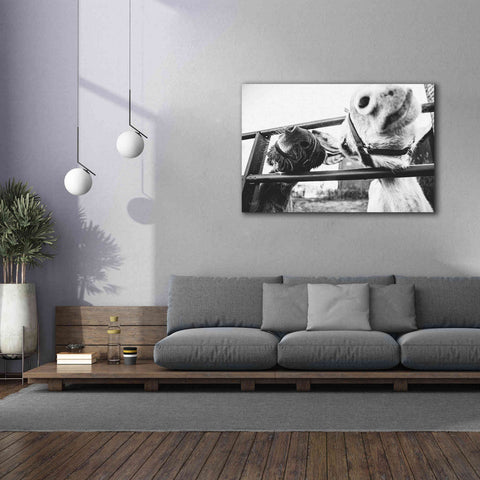 Image of 'Feeding Donkeys' by Donnie Quillen Canvas Wall Art,60 x 40
