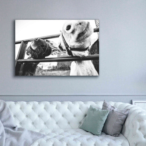 Image of 'Feeding Donkeys' by Donnie Quillen Canvas Wall Art,60 x 40