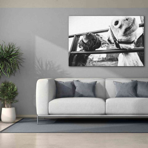 Image of 'Feeding Donkeys' by Donnie Quillen Canvas Wall Art,60 x 40