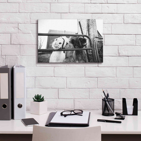 Image of 'Hey Donkeys I' by Donnie Quillen Canvas Wall Art,18 x 12