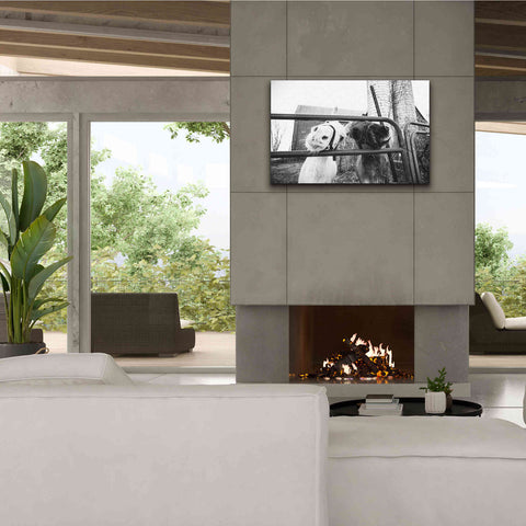 Image of 'Hey Donkeys I' by Donnie Quillen Canvas Wall Art,40 x 26