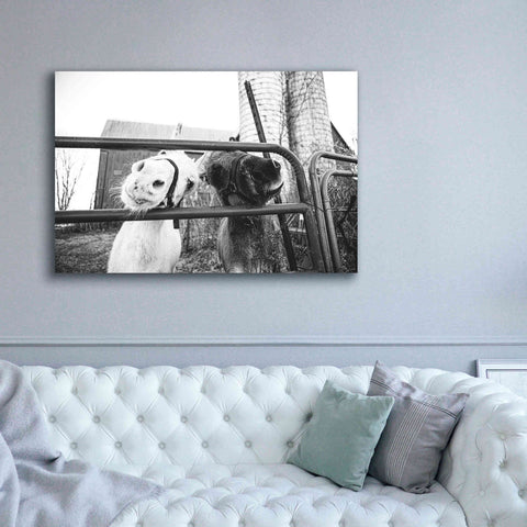 Image of 'Hey Donkeys I' by Donnie Quillen Canvas Wall Art,60 x 40