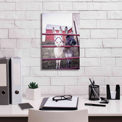 Image of 'Mommy & Daughter Donkeys' by Donnie Quillen Canvas Wall Art,12 x 18