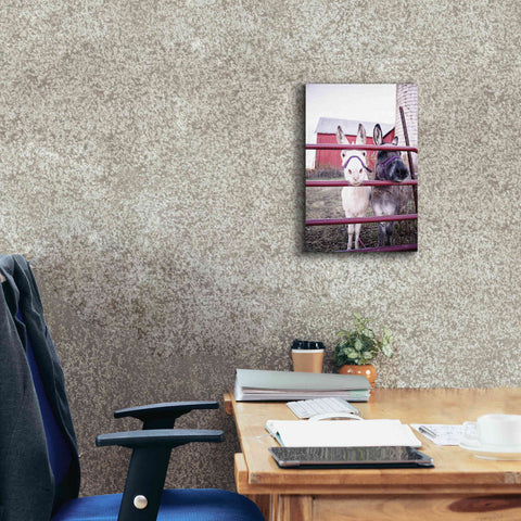 Image of 'Mommy & Daughter Donkeys' by Donnie Quillen Canvas Wall Art,12 x 18