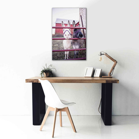Image of 'Mommy & Daughter Donkeys' by Donnie Quillen Canvas Wall Art,26 x 40