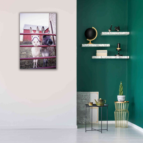 Image of 'Mommy & Daughter Donkeys' by Donnie Quillen Canvas Wall Art,26 x 40