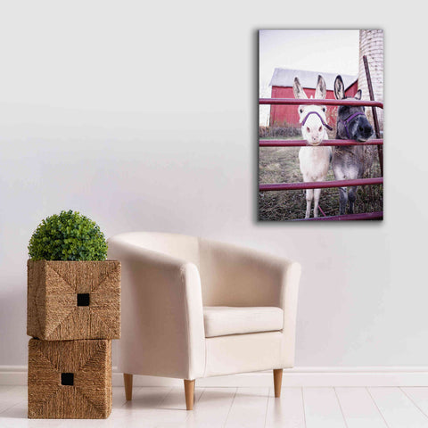 Image of 'Mommy & Daughter Donkeys' by Donnie Quillen Canvas Wall Art,26 x 40