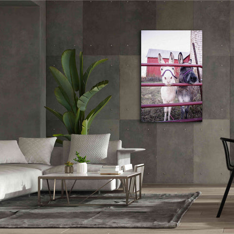Image of 'Mommy & Daughter Donkeys' by Donnie Quillen Canvas Wall Art,40 x 60