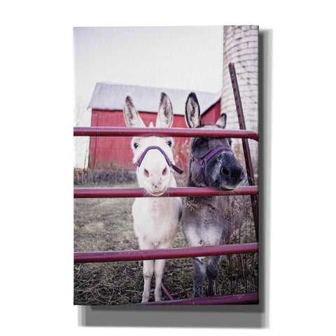 Image of 'Mommy & Daughter Donkeys' by Donnie Quillen Canvas Wall Art