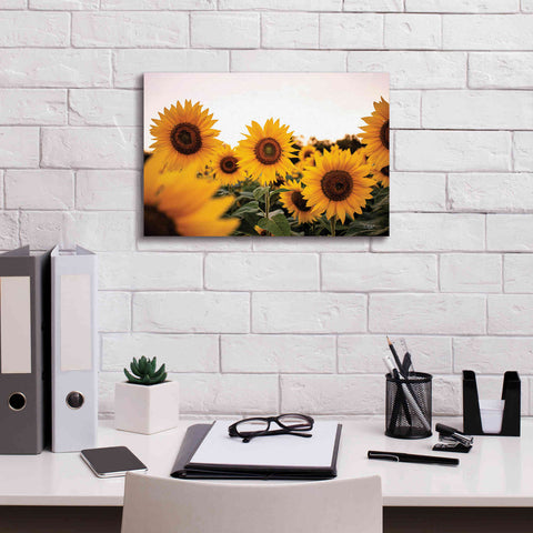 Image of 'Sunflower Field' by Donnie Quillen Canvas Wall Art,18 x 12