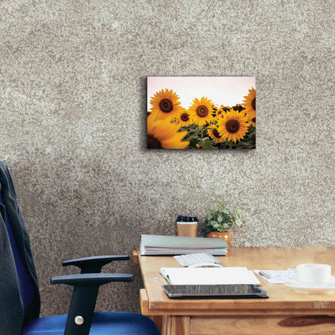 Image of 'Sunflower Field' by Donnie Quillen Canvas Wall Art,18 x 12