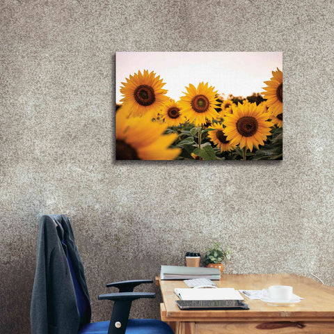 Image of 'Sunflower Field' by Donnie Quillen Canvas Wall Art,40 x 26