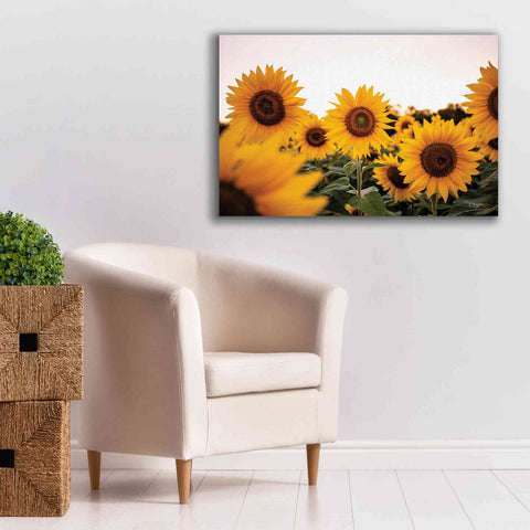 Image of 'Sunflower Field' by Donnie Quillen Canvas Wall Art,40 x 26