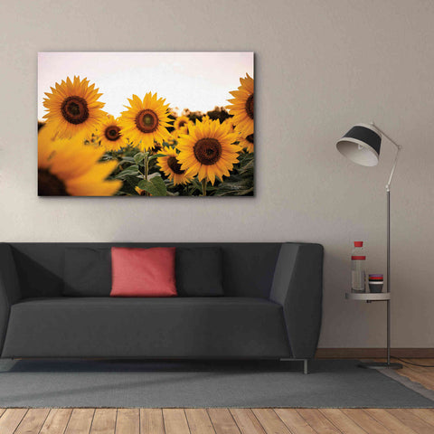Image of 'Sunflower Field' by Donnie Quillen Canvas Wall Art,60 x 40