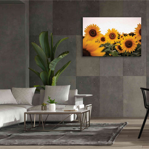 Image of 'Sunflower Field' by Donnie Quillen Canvas Wall Art,60 x 40