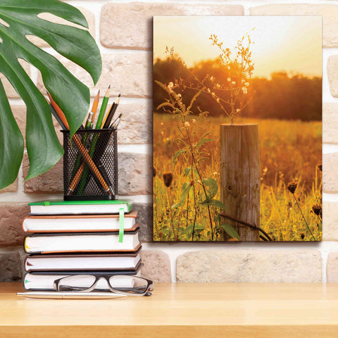 Image of 'Post' by Donnie Quillen Canvas Wall Art,12 x 16