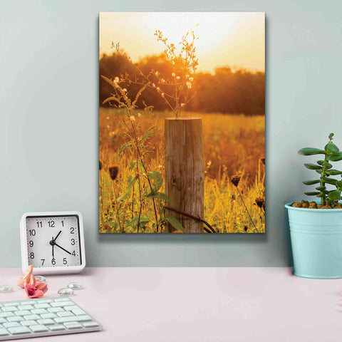Image of 'Post' by Donnie Quillen Canvas Wall Art,12 x 16