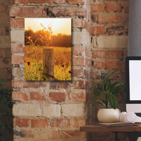 Image of 'Post' by Donnie Quillen Canvas Wall Art,12 x 16