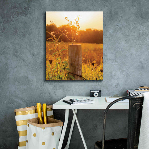 Image of 'Post' by Donnie Quillen Canvas Wall Art,20 x 24