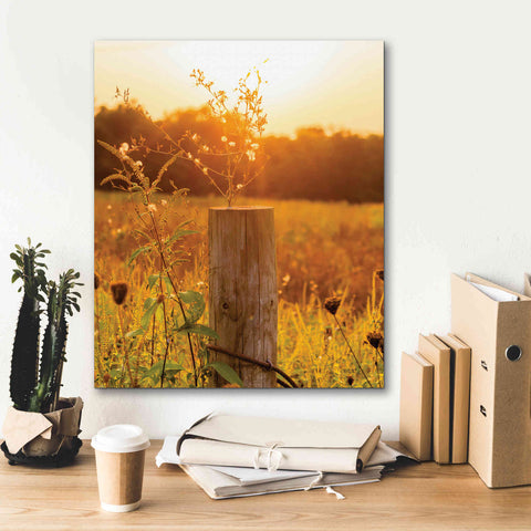 Image of 'Post' by Donnie Quillen Canvas Wall Art,20 x 24