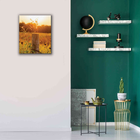 Image of 'Post' by Donnie Quillen Canvas Wall Art,20 x 24