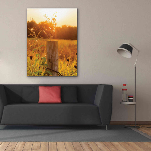 Image of 'Post' by Donnie Quillen Canvas Wall Art,40 x 54