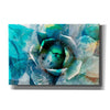 'Agave Abstract I' by Sisa Jasper Canvas Wall Art