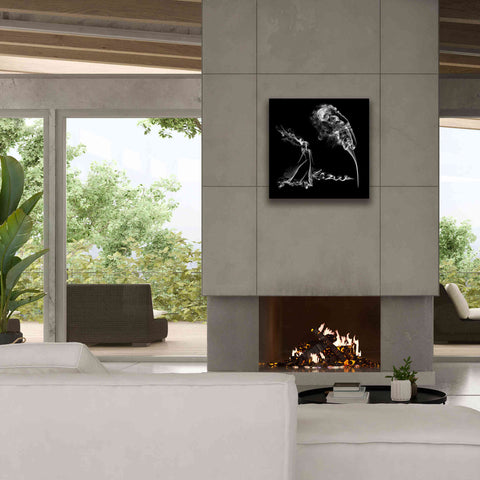 Image of 'Fearless Girl' Canvas Wall Art,26 x 26