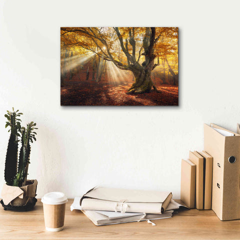 Image of 'Enchanted Forest' Canvas Wall Art,18 x 12