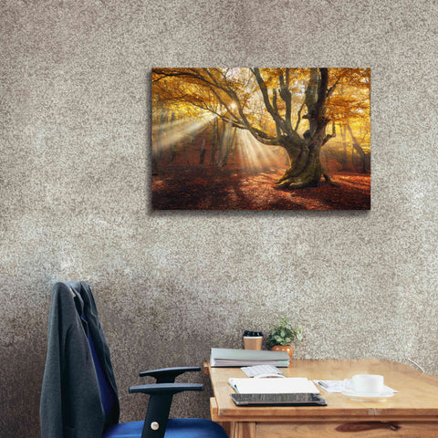 Image of 'Enchanted Forest' Canvas Wall Art,40 x 26