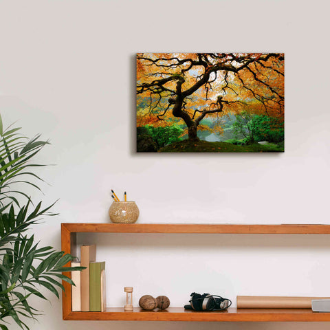 Image of 'Magical Autumn' Canvas Wall Art,18 x 12
