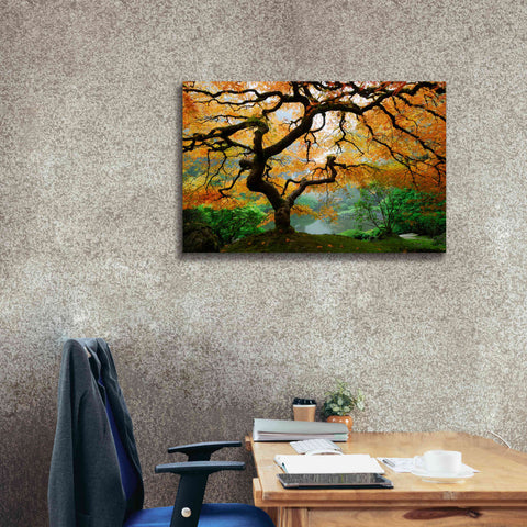 Image of 'Magical Autumn' Canvas Wall Art,40 x 26