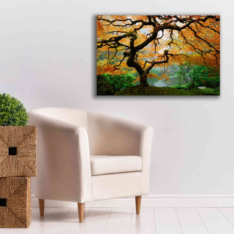 Image of 'Magical Autumn' Canvas Wall Art,40 x 26