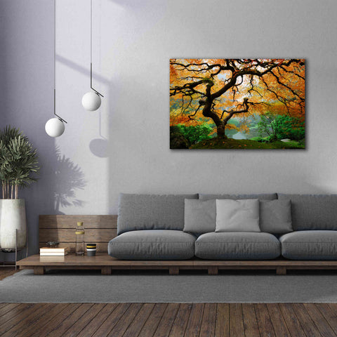 Image of 'Magical Autumn' Canvas Wall Art,60 x 40