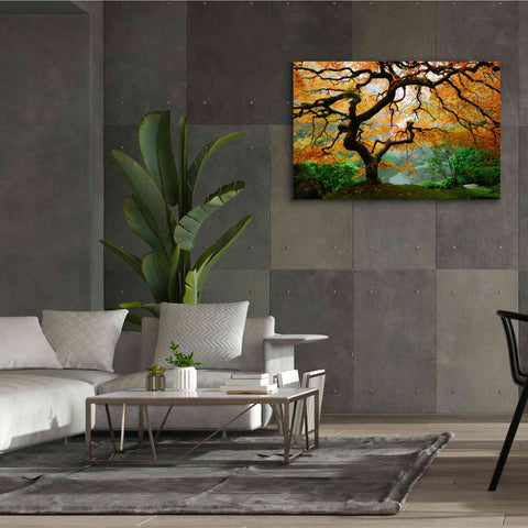 Image of 'Magical Autumn' Canvas Wall Art,60 x 40