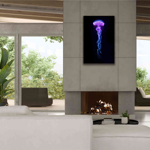 Image of 'Medusa' Canvas Wall Art,26 x 40