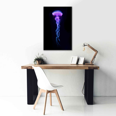 Image of 'Medusa' Canvas Wall Art,26 x 40