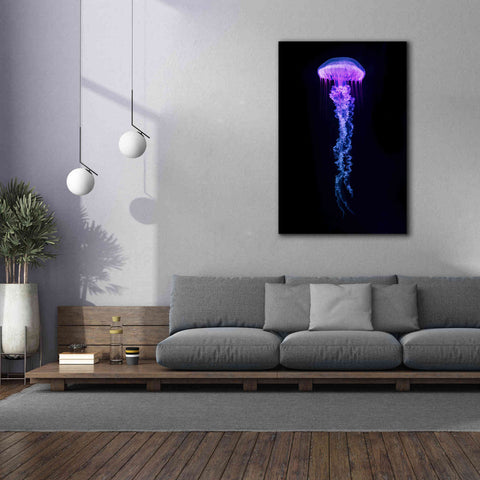 Image of 'Medusa' Canvas Wall Art,40 x 60
