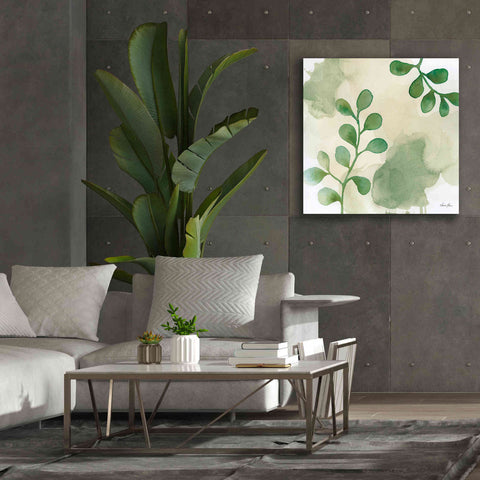 Image of 'Woodland Walk II' by Laura Horn, Canvas Wall Art,37 x 37