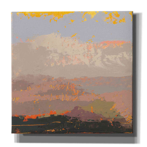 Image of 'Soft Day I' by Grainne Dowling, Canvas Wall Art