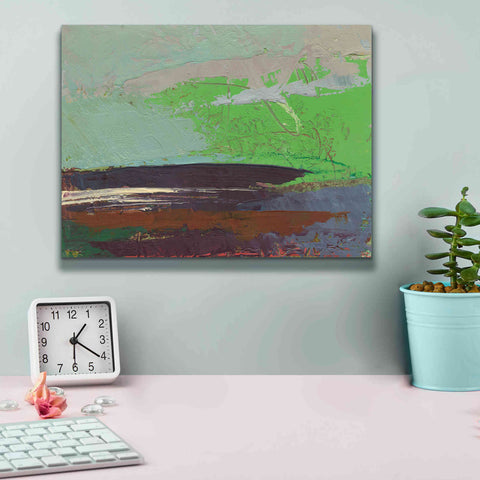 Image of 'Ceide Study XIII' by Grainne Dowling, Canvas Wall Art,16 x 12