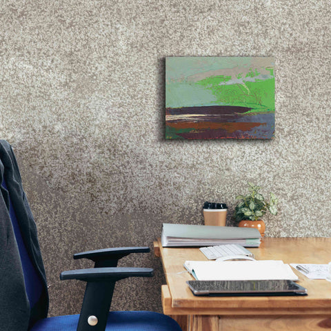 Image of 'Ceide Study XIII' by Grainne Dowling, Canvas Wall Art,16 x 12