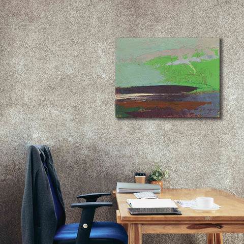 Image of 'Ceide Study XIII' by Grainne Dowling, Canvas Wall Art,34 x 26